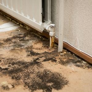 Gallery image 5 — sewage cleanup service Boca Raton