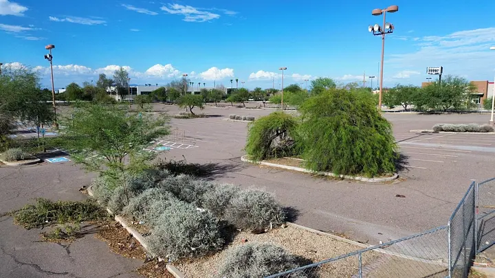 Gallery image 9 — winter ryegrass overseeding Goodyear