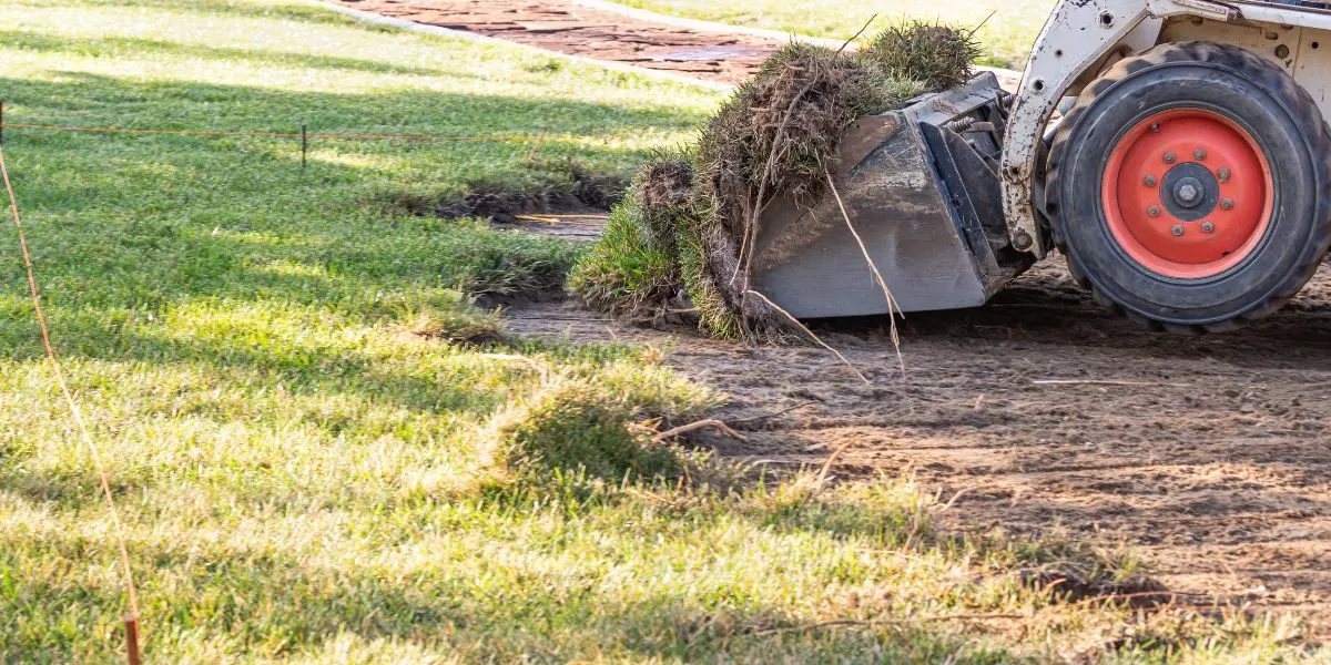 weed control Glendale