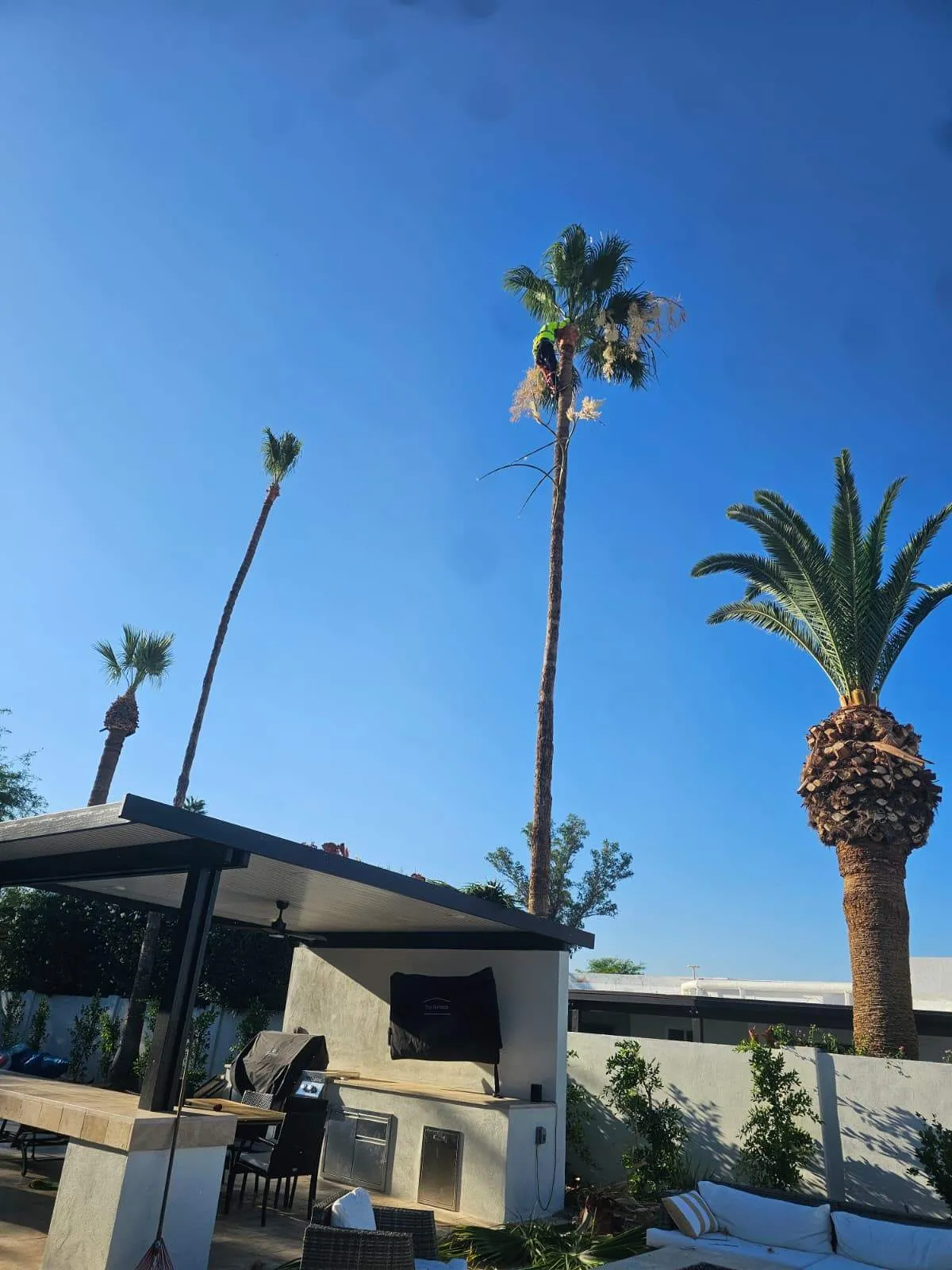 Gallery image 1 — weed control Glendale