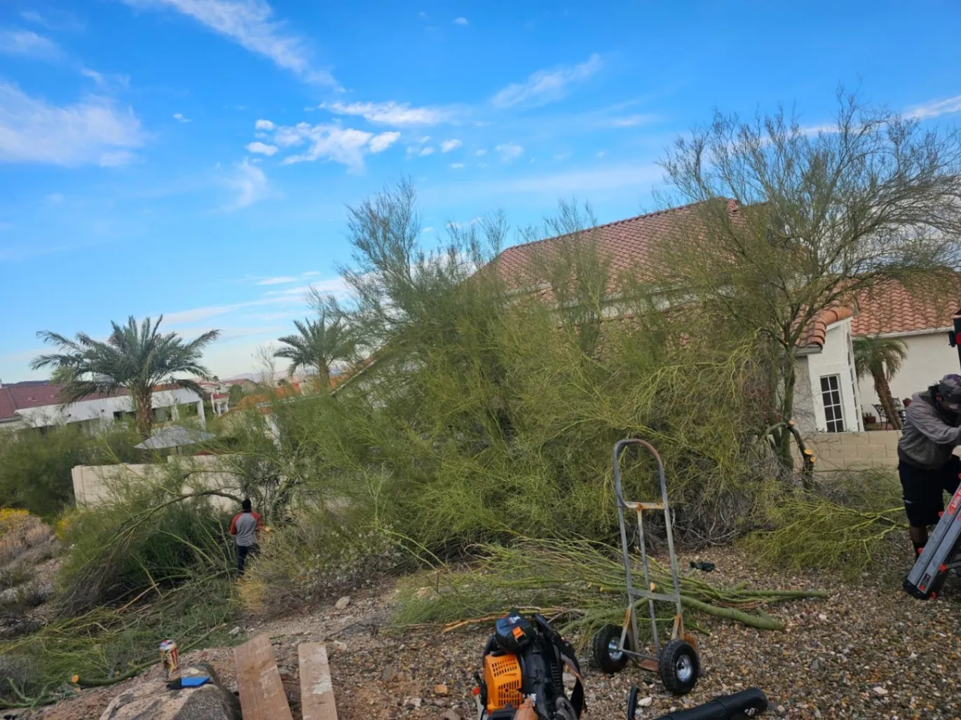Gallery image 4 — weed control Glendale