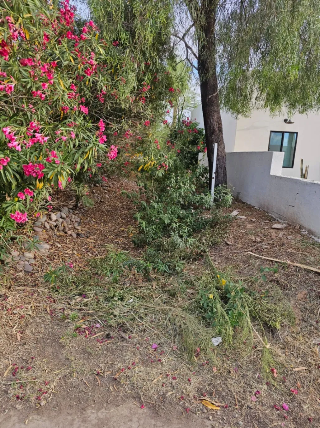 Gallery image 5 — weed control Glendale