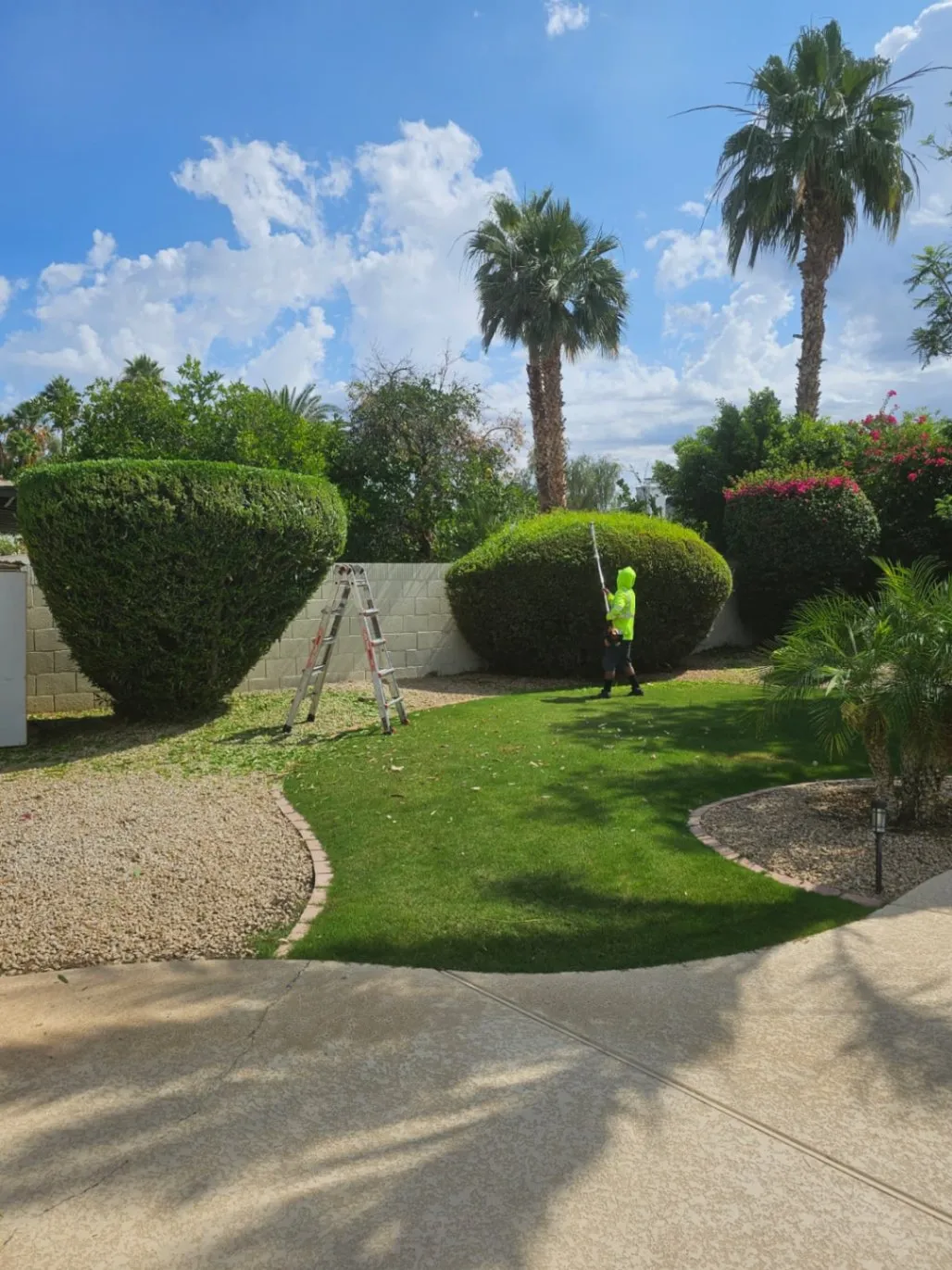 About weed control Glendale