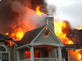 Gallery image 5 — affordable mold removal Tampa