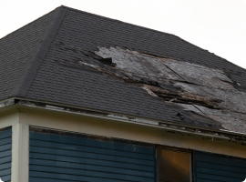 Gallery image 9 — affordable mold removal Tampa