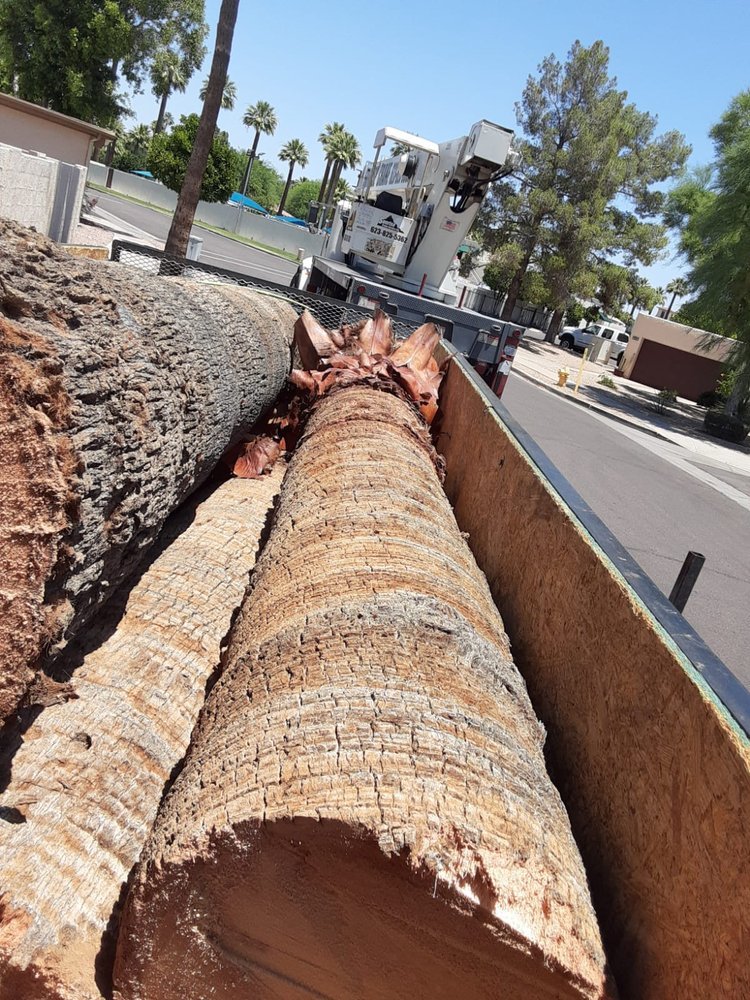 Gallery image 5 — emergency tree service Arcadia