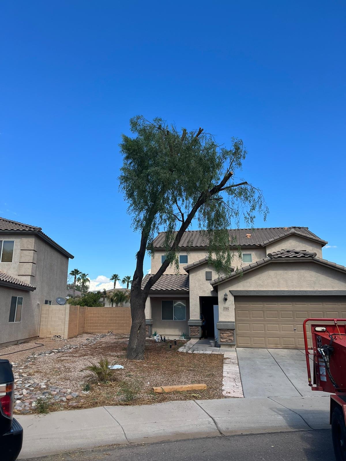 Gallery image 2 — emergency tree service Arcadia