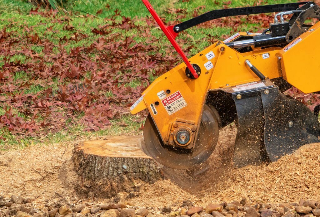 Gallery image 12 — emergency tree service Arcadia