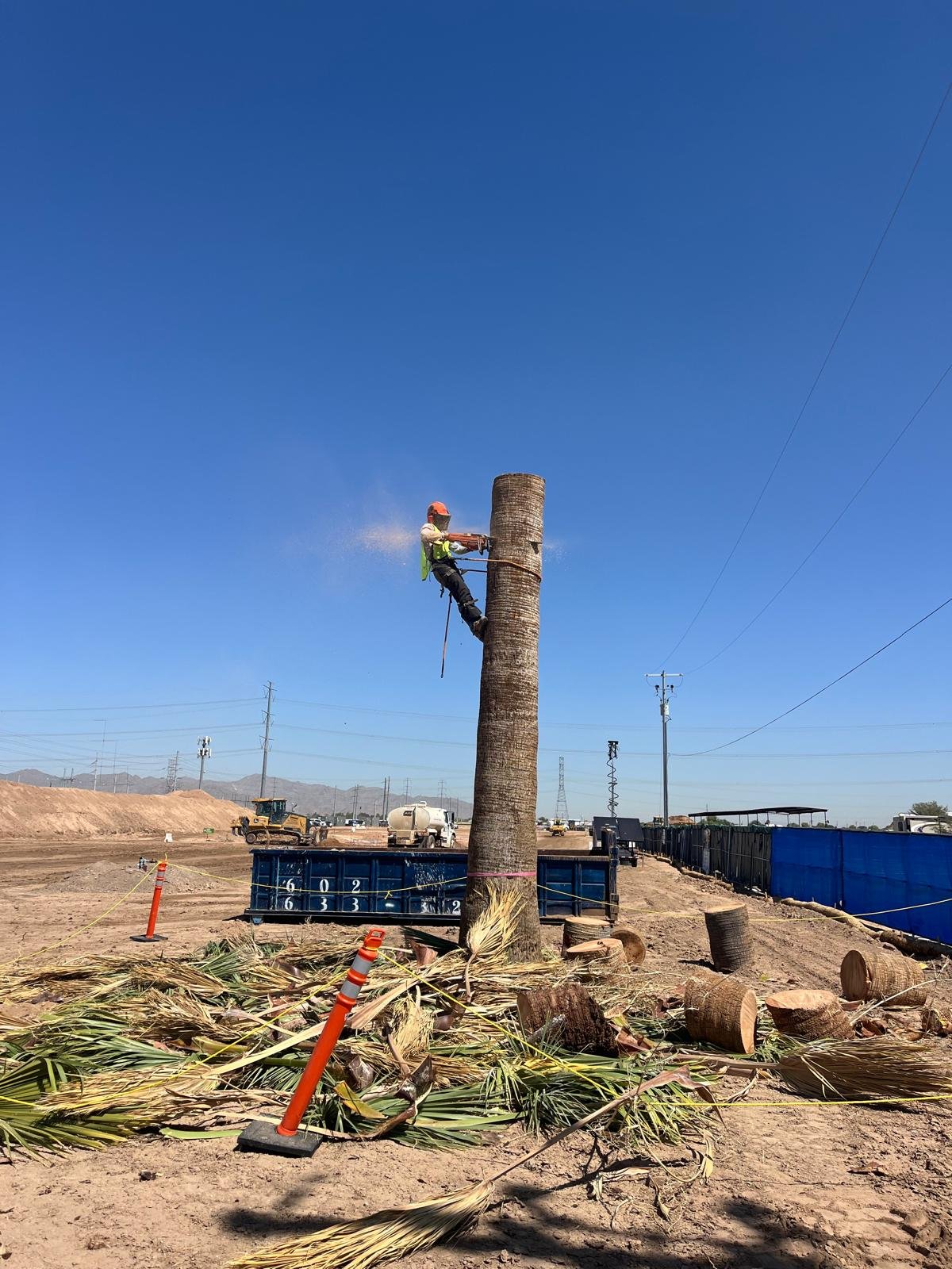 Gallery image 6 — emergency tree service Arcadia