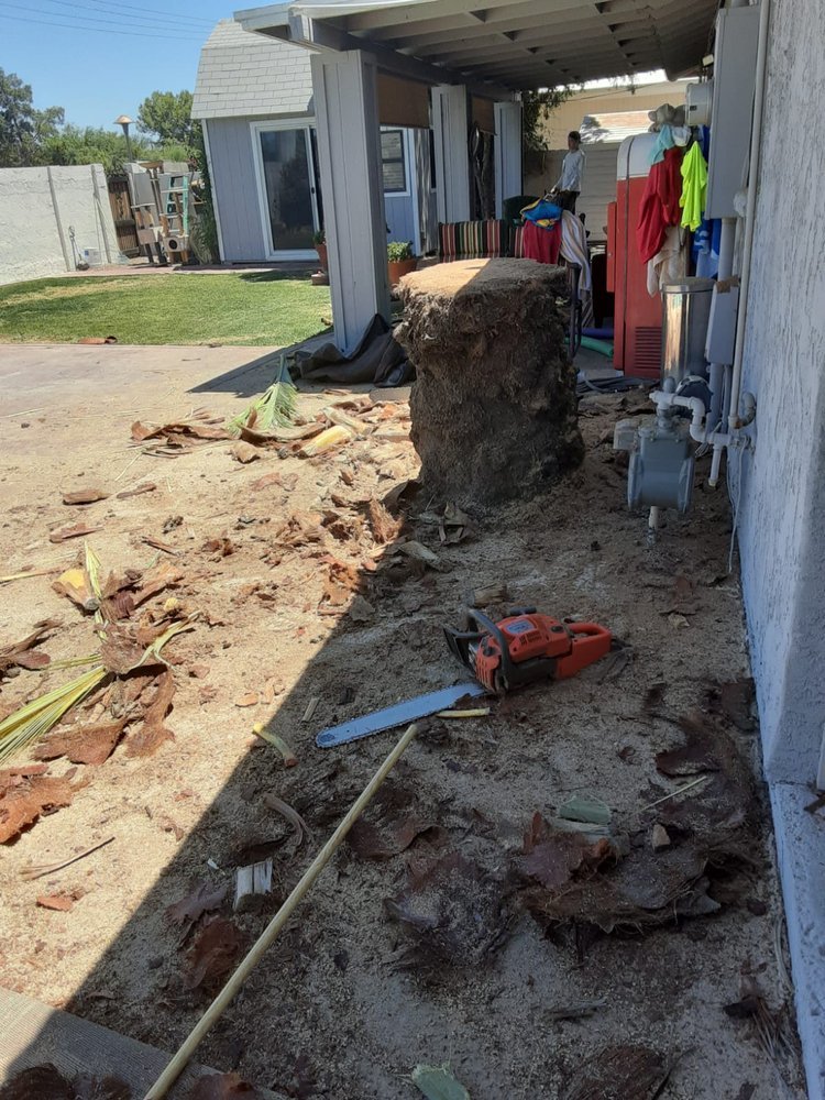 Gallery image 1 — emergency tree service Arcadia