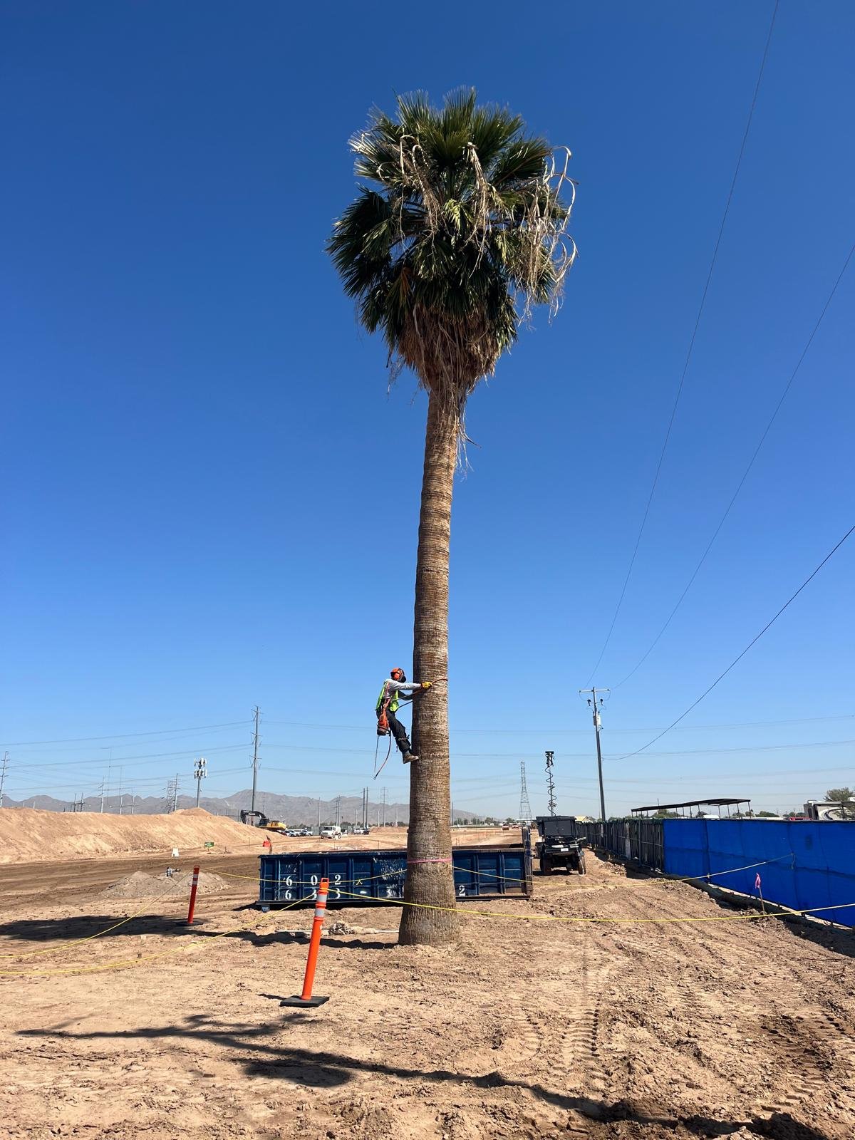 Gallery image 7 — emergency tree service Arcadia
