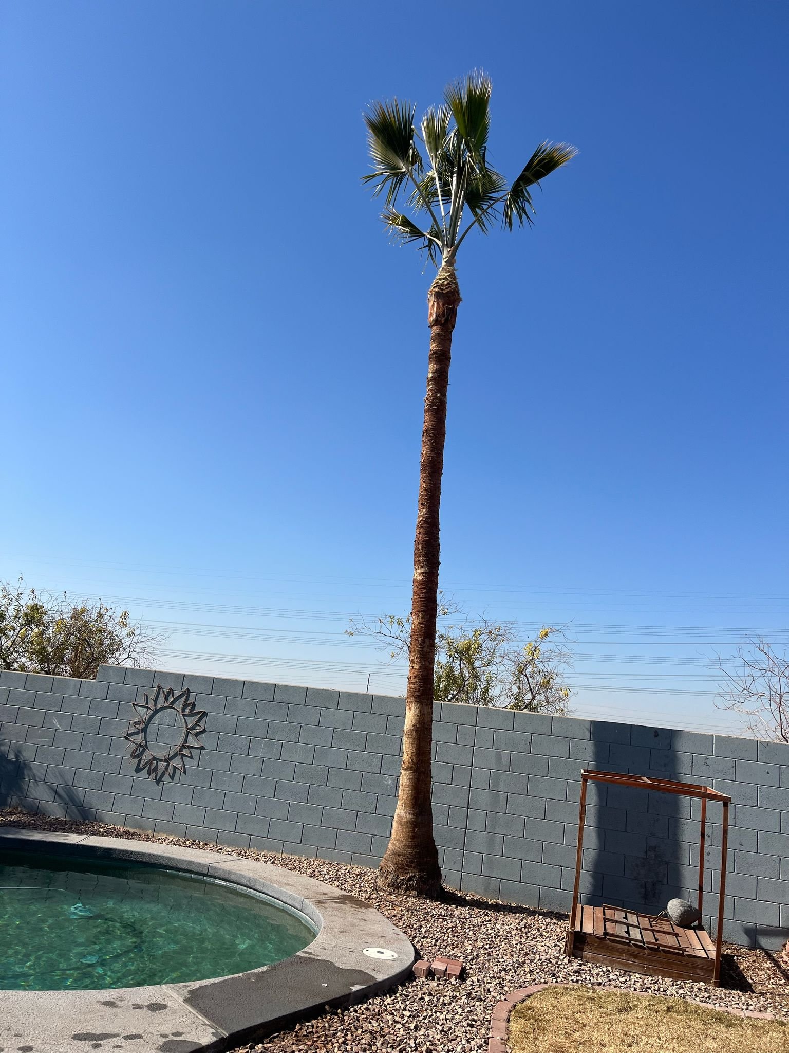 Gallery image 8 — emergency tree service Arcadia
