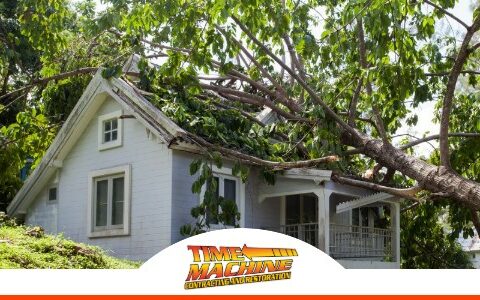 Gallery image 5 — licensed IICRC certified contractor Ocoee, FL