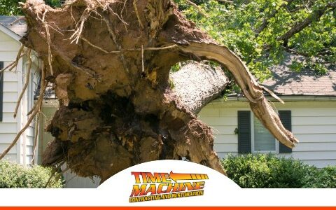Gallery image 17 — licensed IICRC certified contractor Ocoee, FL