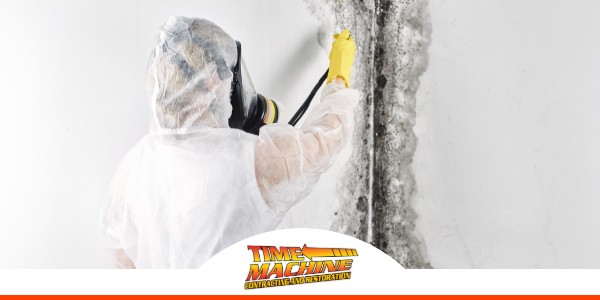 Gallery image 1 — licensed IICRC certified contractor Ocoee, FL