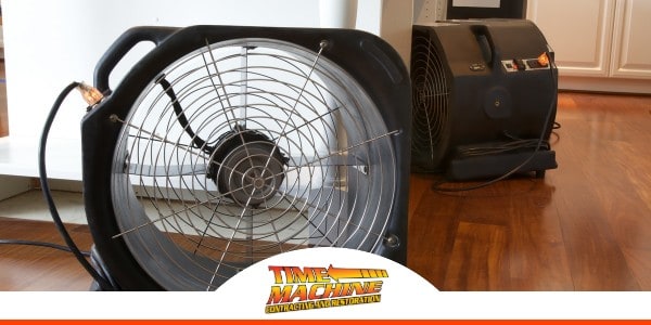 Gallery image 12 — licensed IICRC certified contractor Ocoee, FL