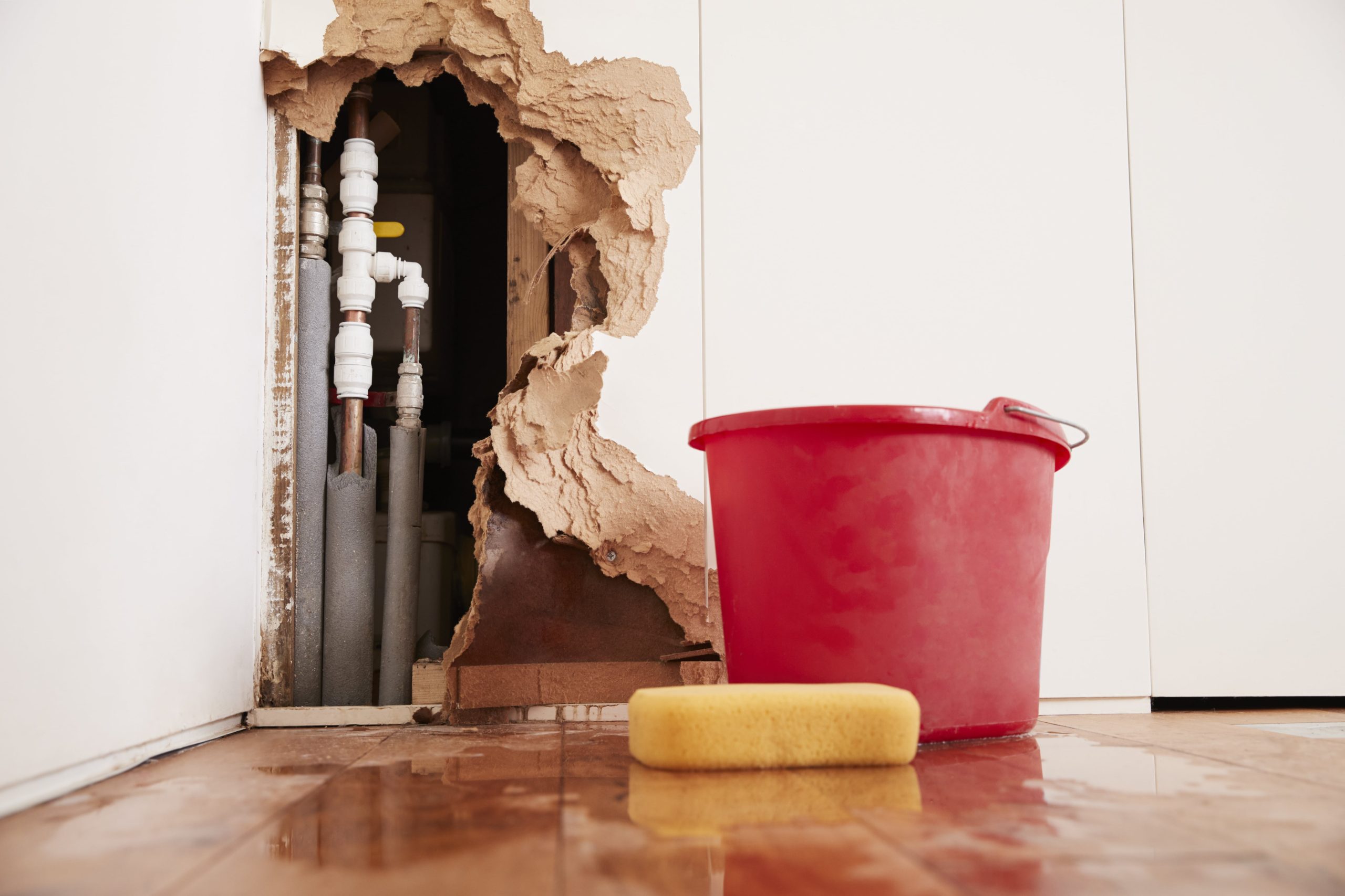 water damage restoration service Atlanta