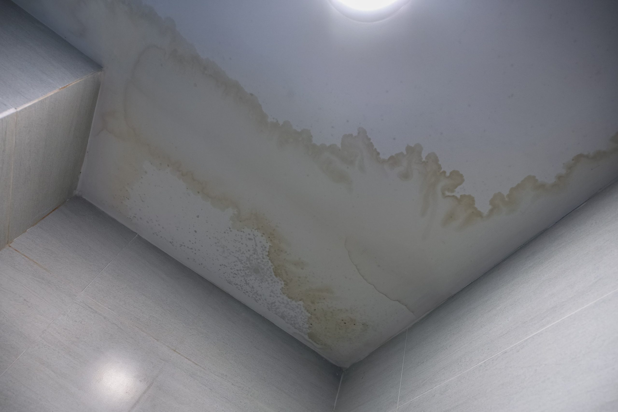 Gallery image 1 — water damage restoration service Atlanta