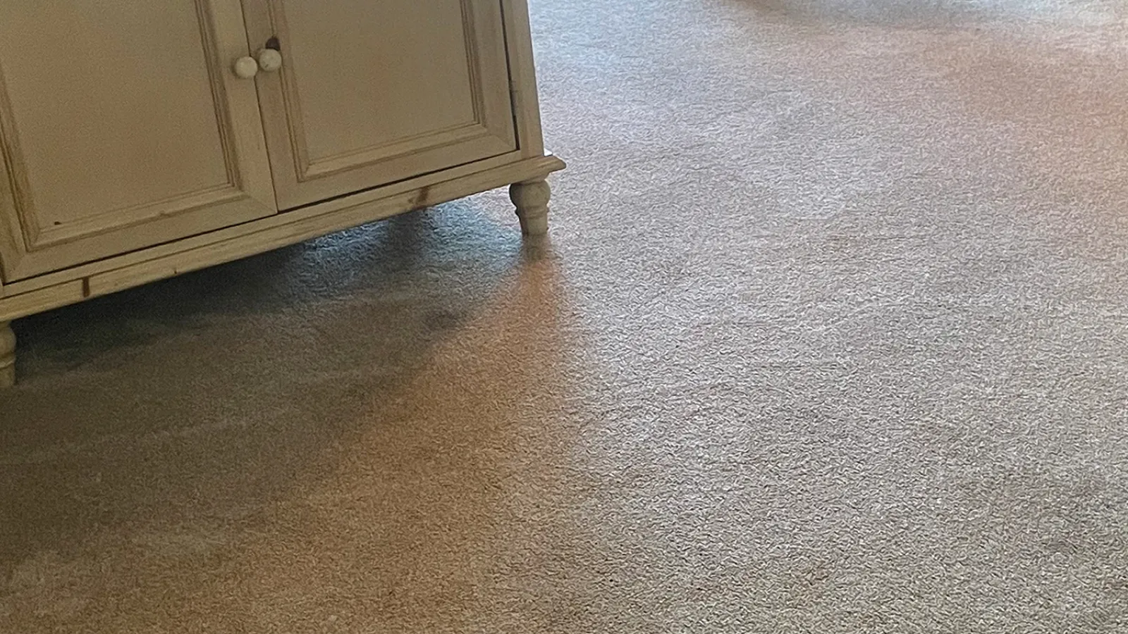 Gallery image 7 — Zerorez Carpet Cleaning