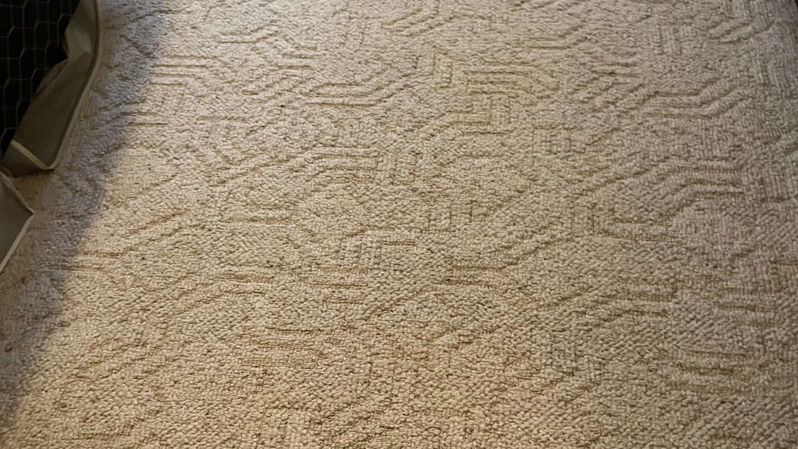 Gallery image 8 — Zerorez Carpet Cleaning