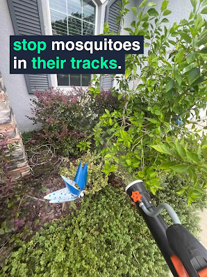 Gallery image 5 — pest inspection Plant City