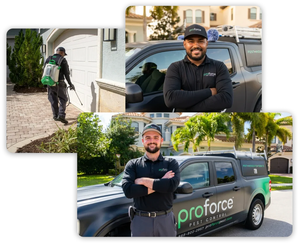 About pest inspection Plant City