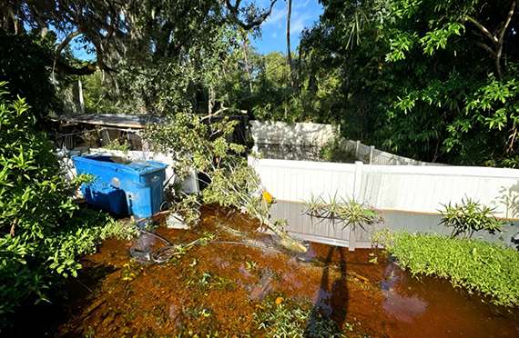 Gallery image 5 — commercial mold removal Florida