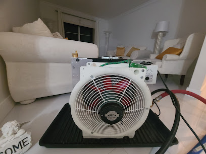 bed bug inspection near me