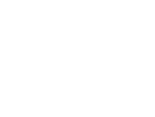 Gallery image 6 — residential bed bug removal Tampa