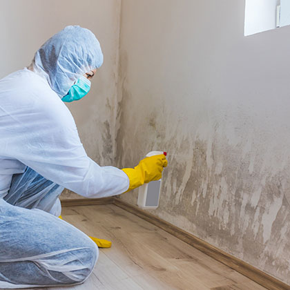 mold inspection Boca Raton