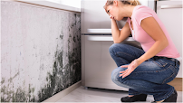 Gallery image 3 — mold inspection Boca Raton