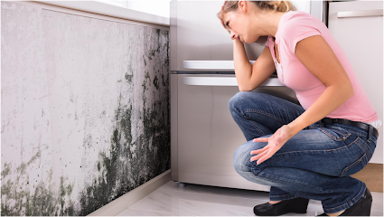 Gallery image 9 — mold inspection Boca Raton