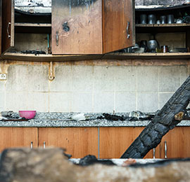 Gallery image 12 — mold inspection Boca Raton