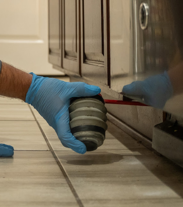 Gallery image 5 — non-toxic flea control near me