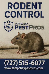 Gallery image 1 — rodent exclusion Oldsmar