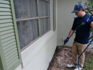 Gallery image 2 — bed bug treatment Tampa