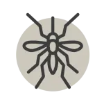 mosquito control La Jolla