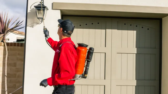 Gallery image 7 — Mission Pest Control