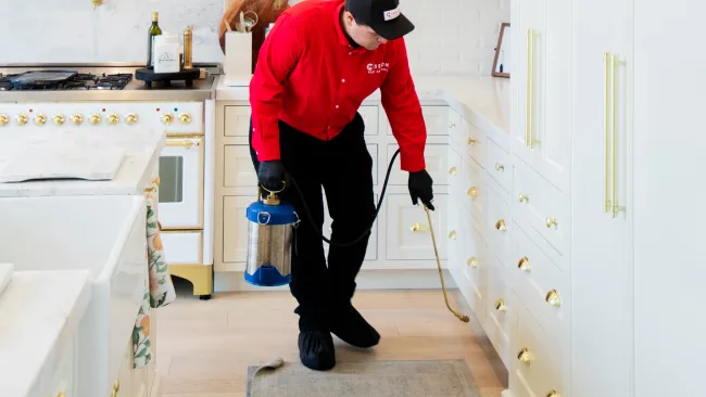 Gallery image 7 — Mission Pest Control