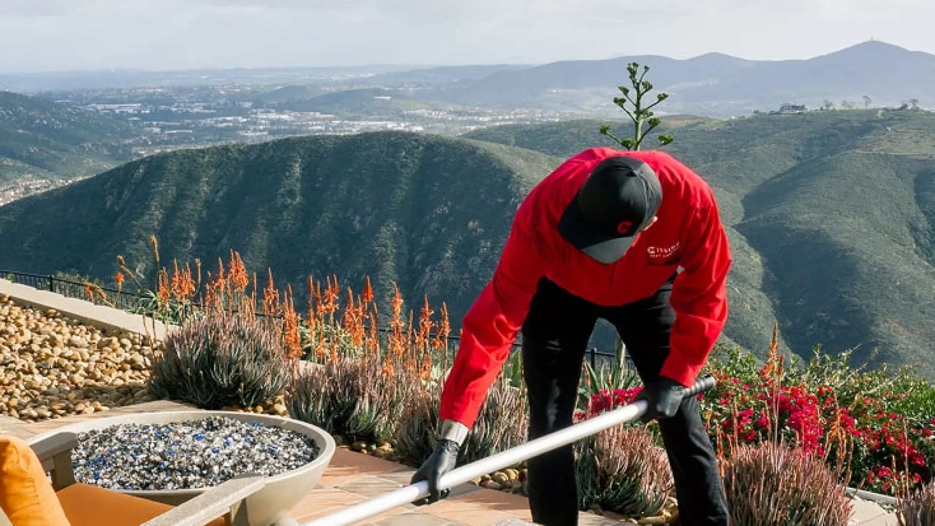 Gallery image 2 — termite control San Diego