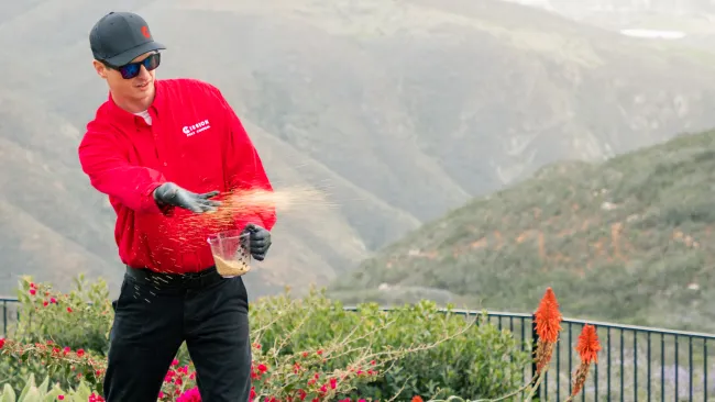 Gallery image 3 — termite control San Diego