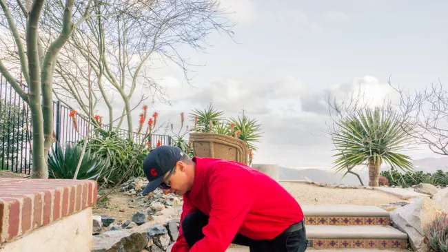 Gallery image 5 — termite control San Diego