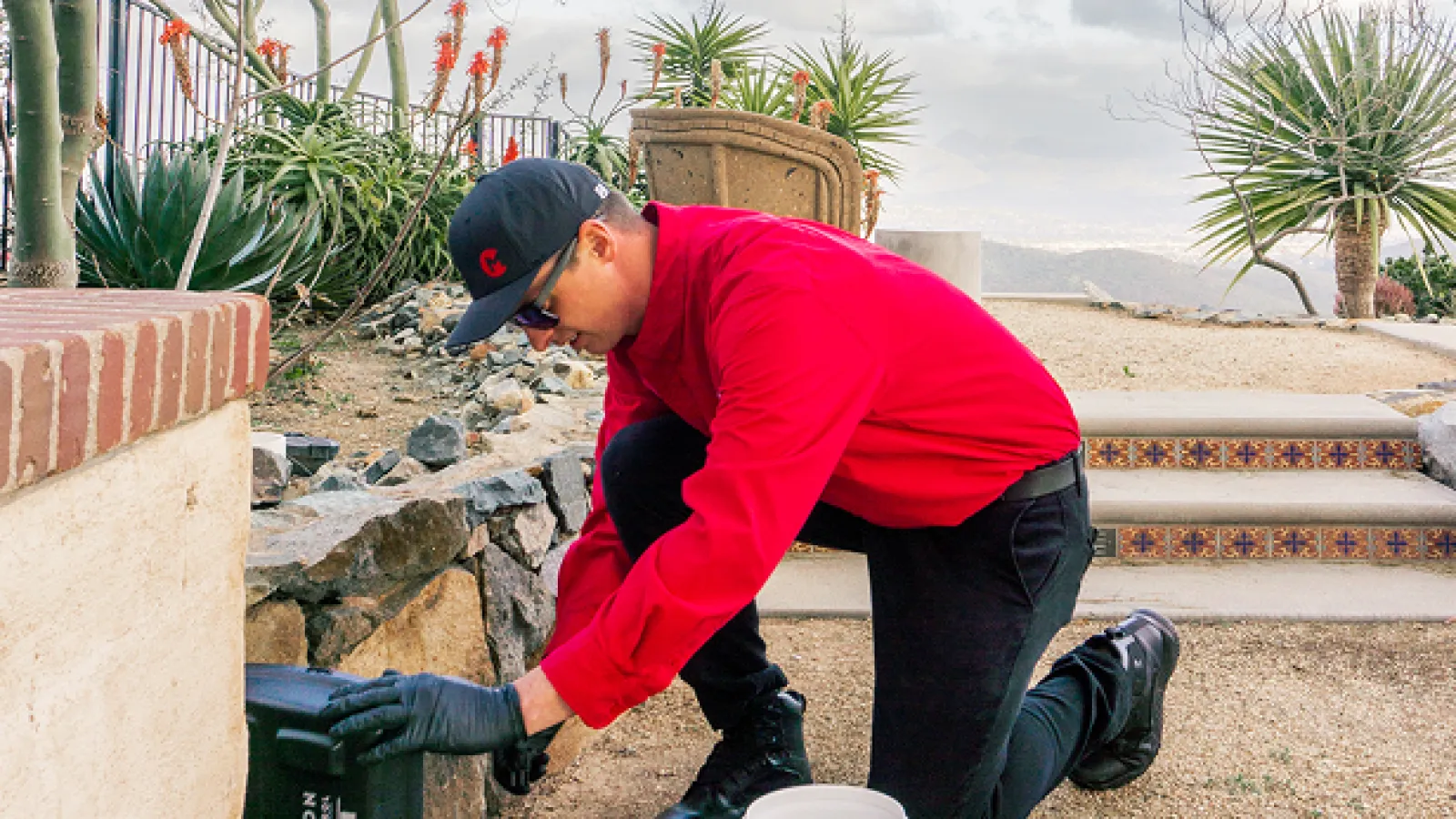 Gallery image 6 — termite control San Diego