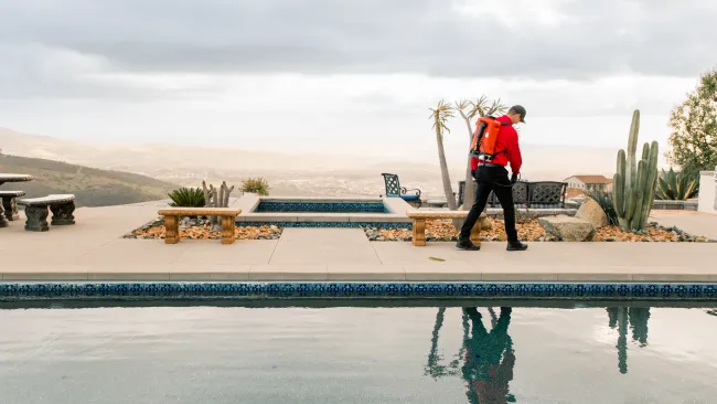 Gallery image 8 — termite control San Diego