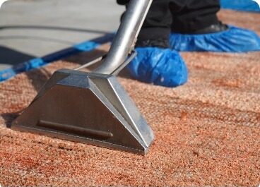 Gallery image 11 — Under The Rug Floorcare