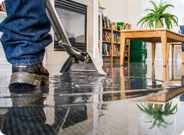 Gallery image 8 — Under The Rug Floorcare