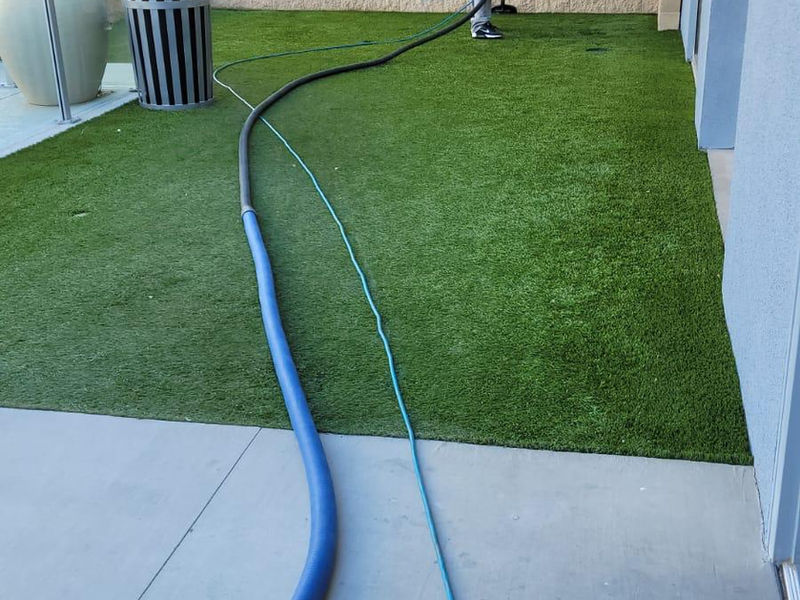 About pet odor removal carpet Steam Pro Carpet Care,