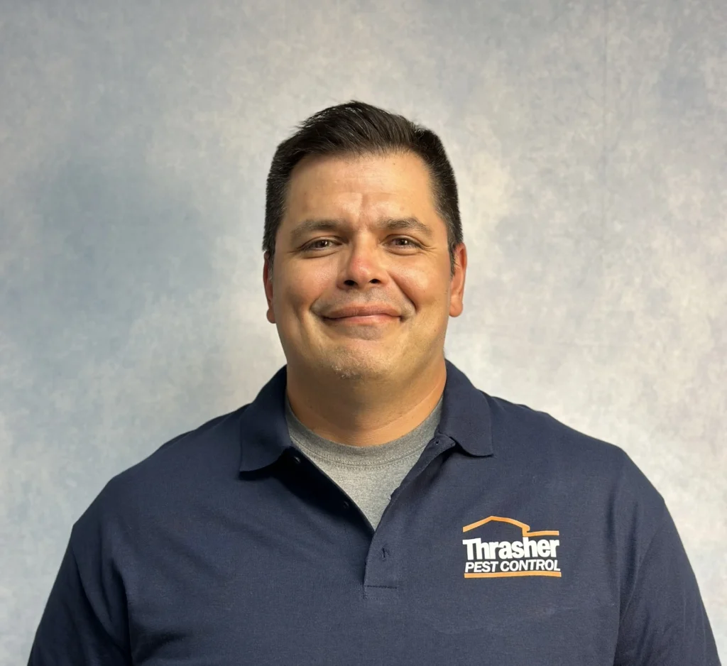 About spider control Escondido