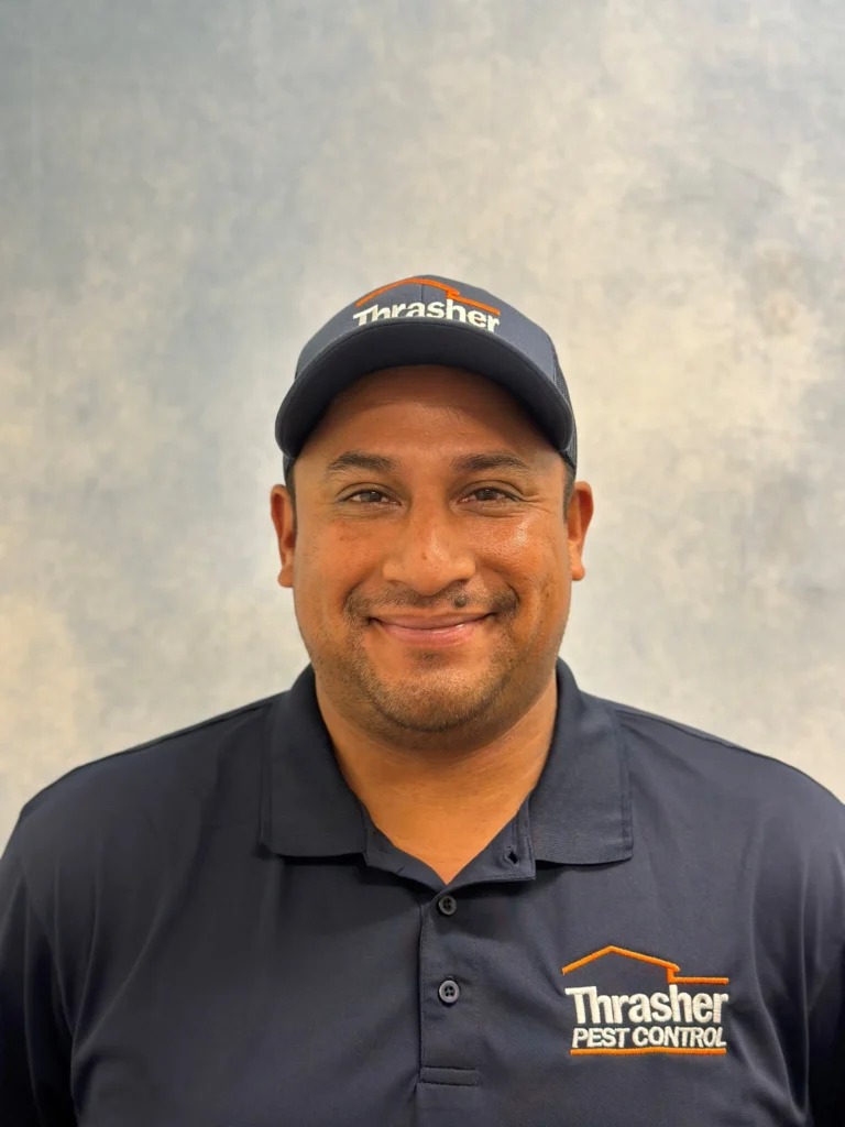 spider control Escondido