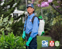 Gallery image 6 — Thrasher Pest Control